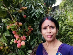 Mrs. Saroj with lychee tree